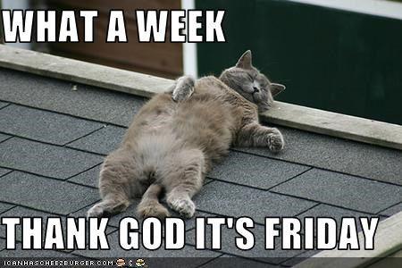 sngine_92ccdedffd4a6b9d74d8c85e0d10b690