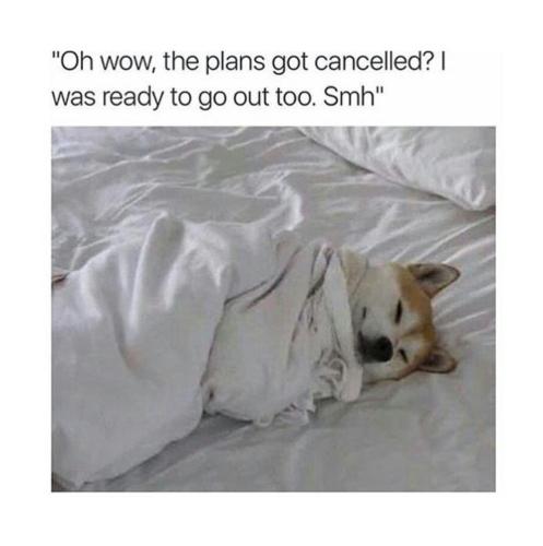 e39f5e4418de3f800bcf397b04794715