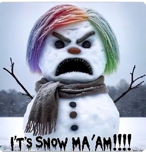 Snow Mam