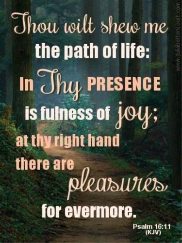 6bf5ed4b-367c-4aba-853e-c6faa755456e