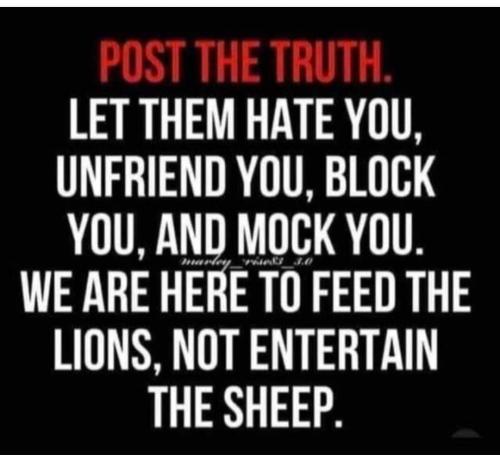 FB_IMG_1703362775129