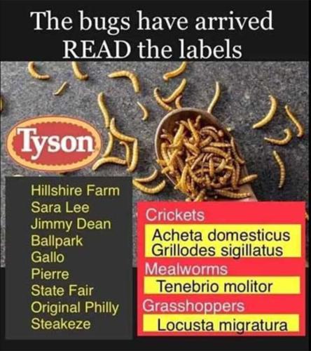 photo_2023-11-30_19-25-49