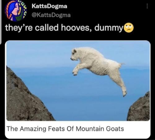 20231207_125002