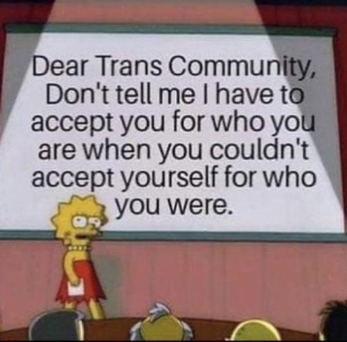 Trans acceptance