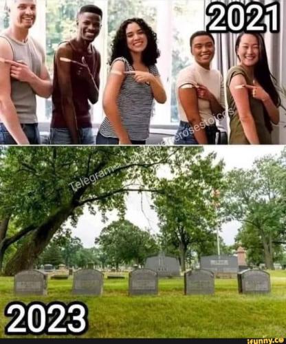 2939e233-cfe1-4b01-a21c-a29711112679