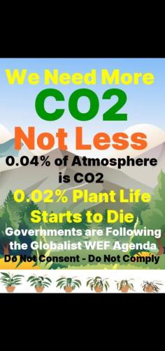 more CO2