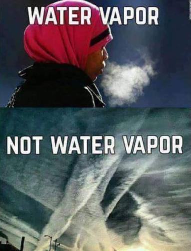 FB_IMG_1700349975231