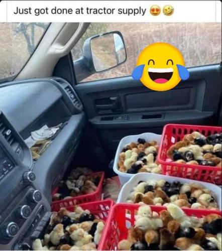 FB_IMG_1705772594603