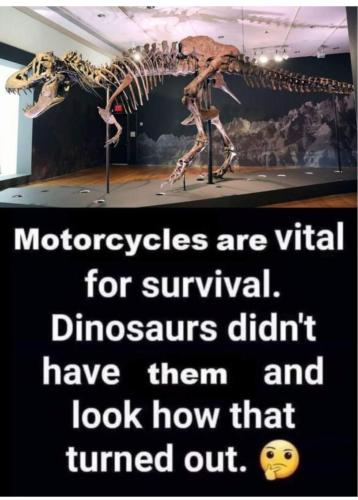 FB_IMG_1704500983444