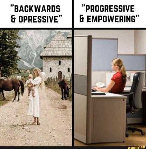 6d68a5d8-c222-4895-8f4f-fd6aacf9fb24