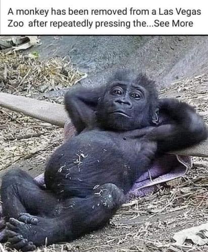 FB_IMG_1705773244248