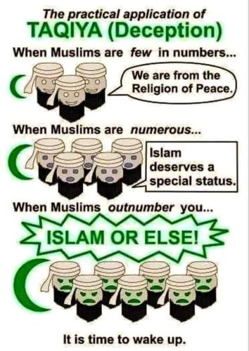 415599995_2416746565185043_277073715570964779_n