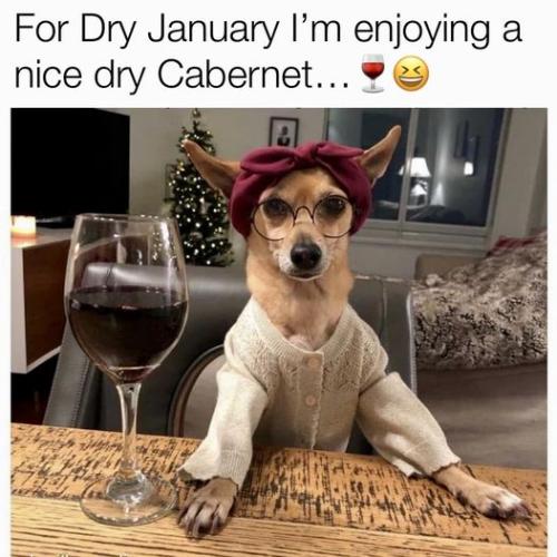 416129930_792604229550099_3870516732729898752_n