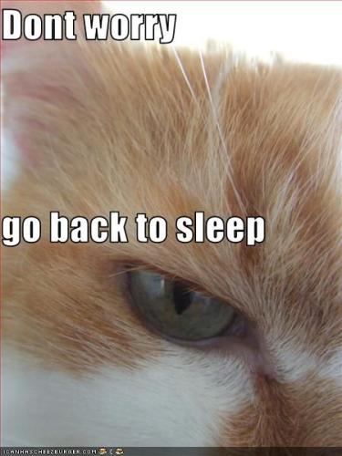 ea2b55422c37d6d1093a356c9d9479fd