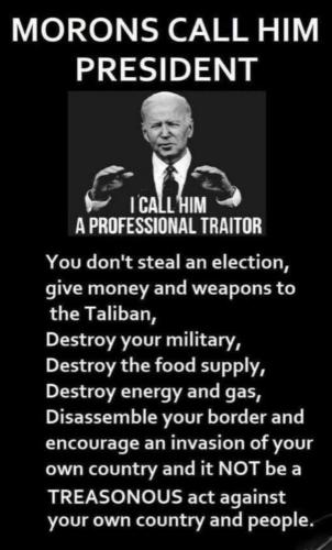 43b8a1b5-6e3a-4b6c-b6f6-83148e7fedf7