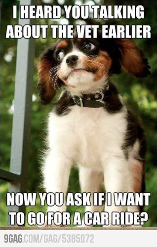 36c454ca624a539e91e043245cc27a81