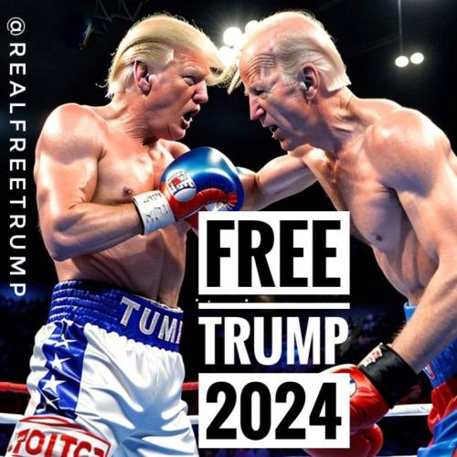 Free Trump 2024