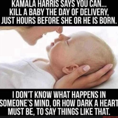 8dcecfcd183847c4673ad49741bd24a07c527bc43b7c267ff5cc3807ec1fb7b7_1