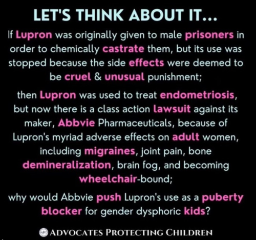 Screenshot 2024-01-24 110637