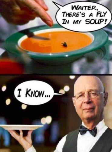 there's a fly in my soup