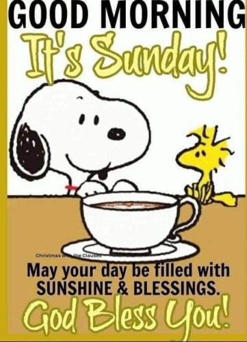 Snoopy Woodstock Sunday Blessings from God
