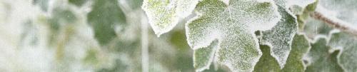 odb20240127