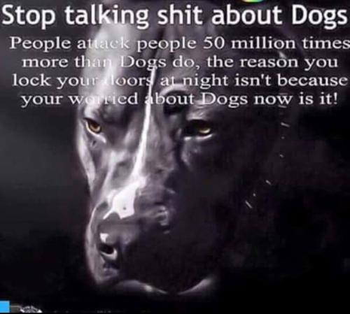 36e959cce7867bbdfe8665c27163c336