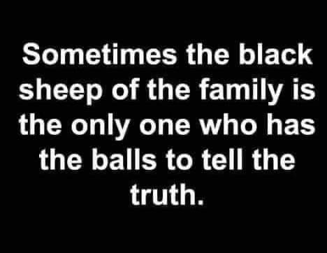 FB_IMG_1704254384618