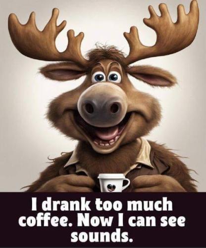 421139921_3702289286757638_9112385105721021576_n