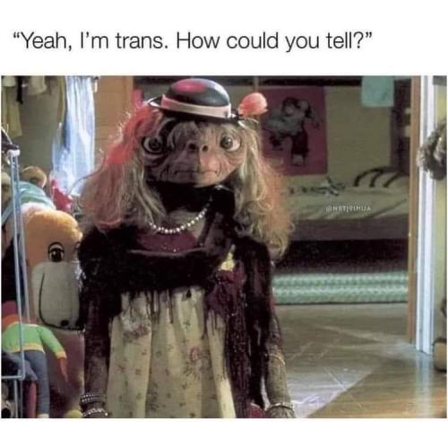 FB_IMG_1704305761316