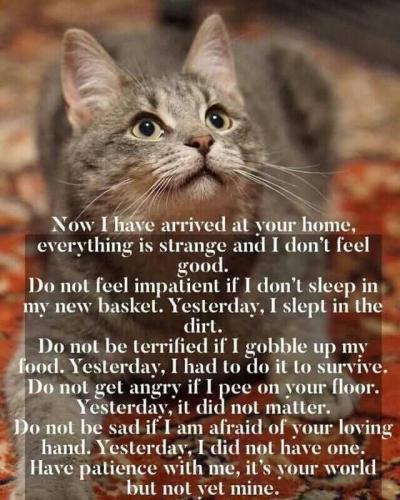 95feefaf7b8e6ab7bfedcb478a23b286