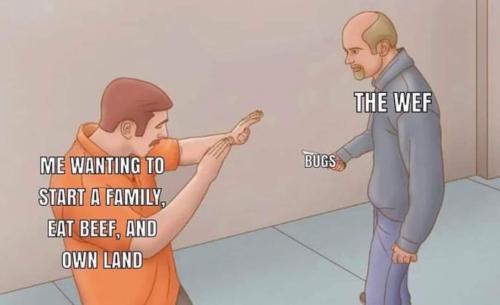 FB_IMG_1704147516901