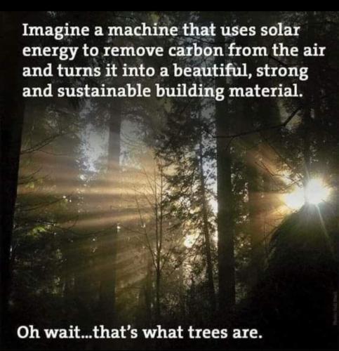 Screenshot_20240130_112816_Facebook