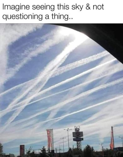 1796AD74-9867-410C-8FE3-0A1257FBEFE1-2964-0000036399D90E4E