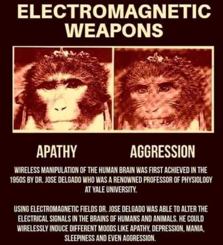 IMG_20240122_184209_254