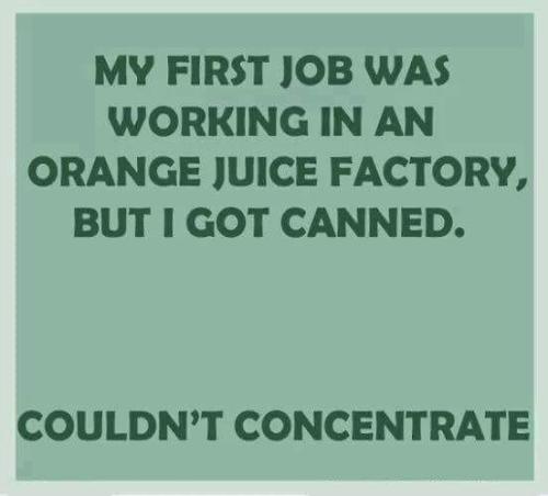 420171561_1917074588690213_279064478016417420_n