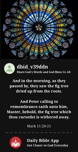 2024-01-181705559824366