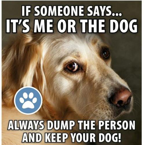 aea2fd558d730b05415e802f51dea8fb