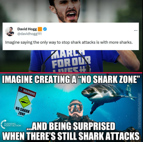 Screenshot 2024-01-17 073456