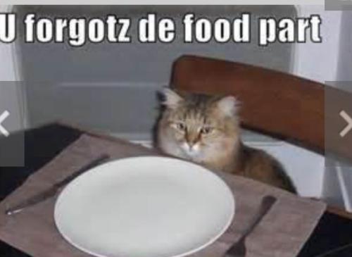 bdb82313d501cf5b4bee93cc5de3bc1e