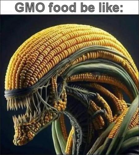 gmo food be like