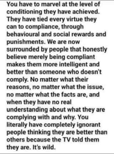 383007934_7358139807548433_8144893476851851552_n