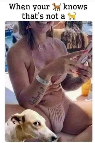 FB_IMG_1706455615216
