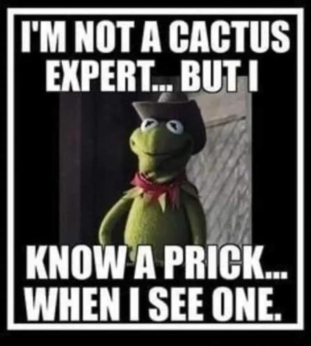 cactus