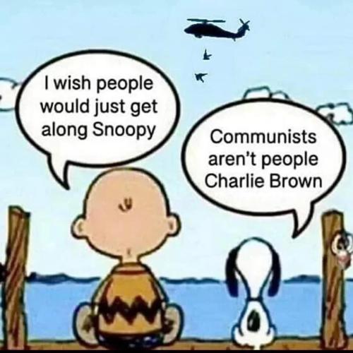 sngine_97384f6d8938aa35193a32f3abe15364