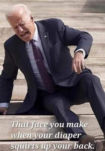 423195473_371873292233563_3110250167724491513_n