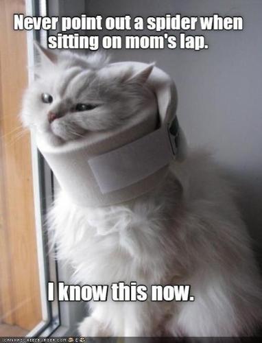 b0f6caf9bfa0d17727a6b41105717b82