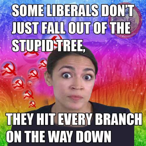 49612733_2070515166328213_5409868440137629696_n