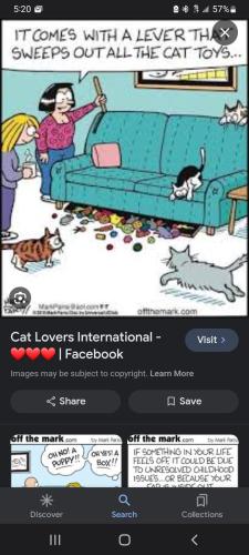 Screenshot_20240107-172027_Google