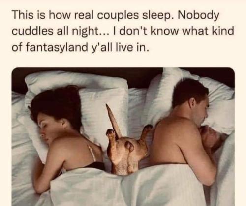 real couples sleep